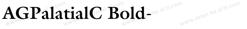 AGPalatialC Bold字体转换